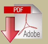 Scarica il file in PdF