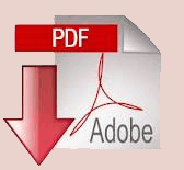 Scarica il file in PdF